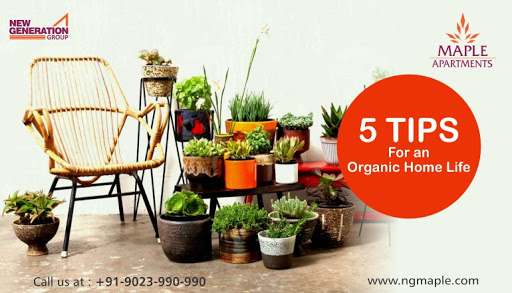 Top 5 Tips For an Organic Home Life