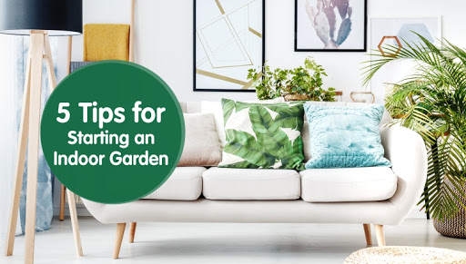 5 Tips for Starting an Indoor Garden
